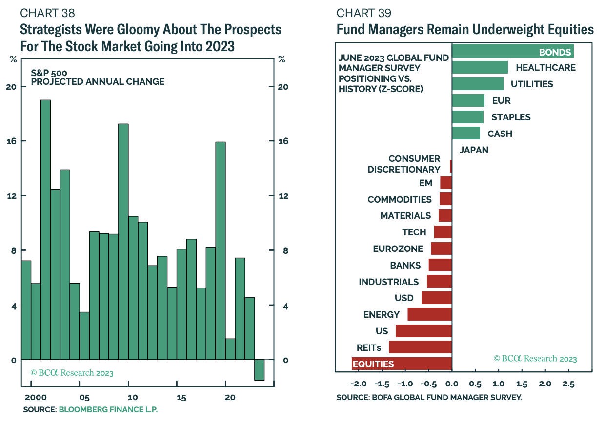 The Bank of America Fund Managers Survey and all other indicators suggested equities would fall hard. Instead, they went the opposite way. (Source: BCA Research, Bloomberg, BofA)