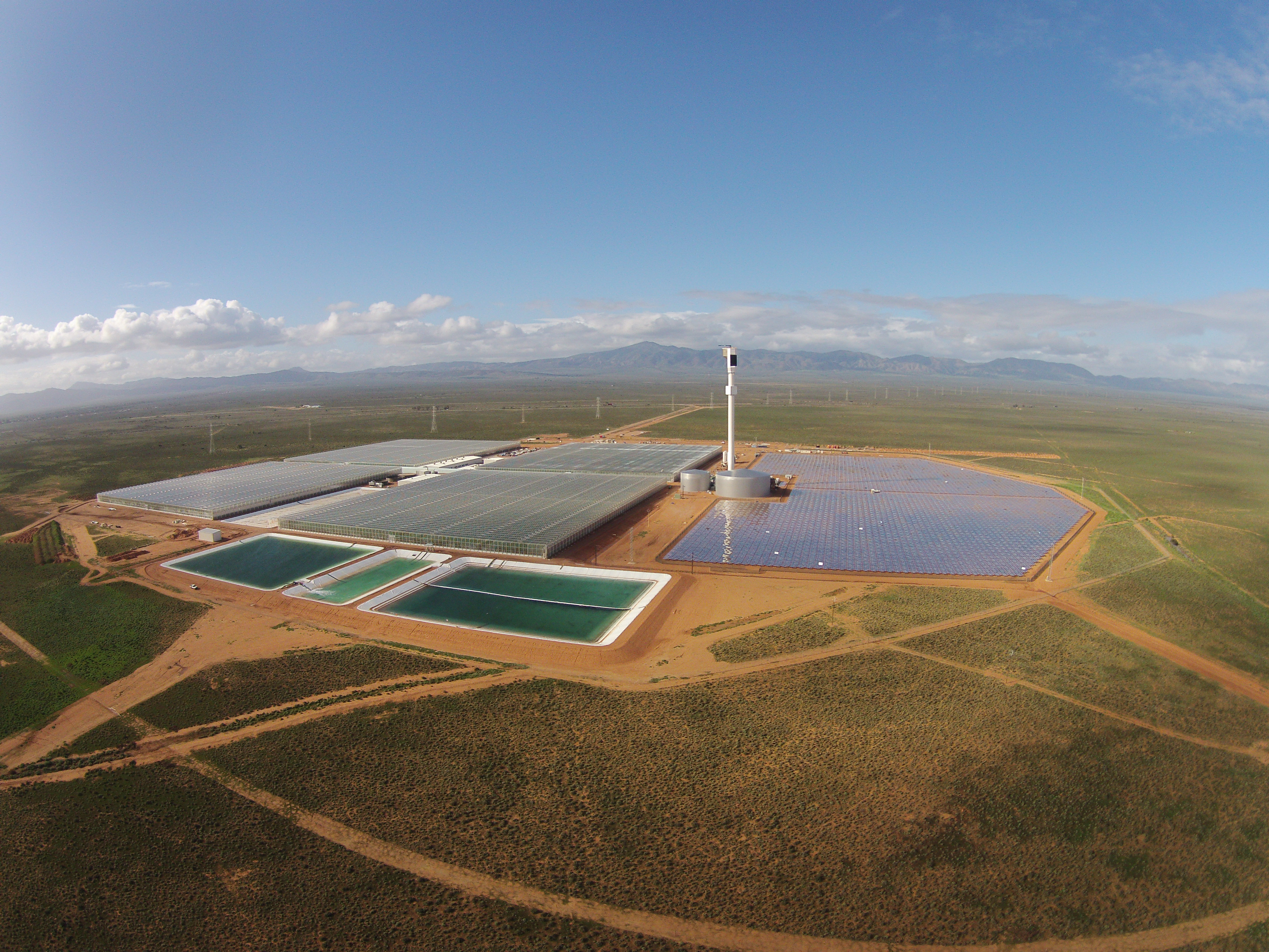 The image above shows the scale of the operations at Sundrop… not quite nanna’s glasshouse in the backyard. 