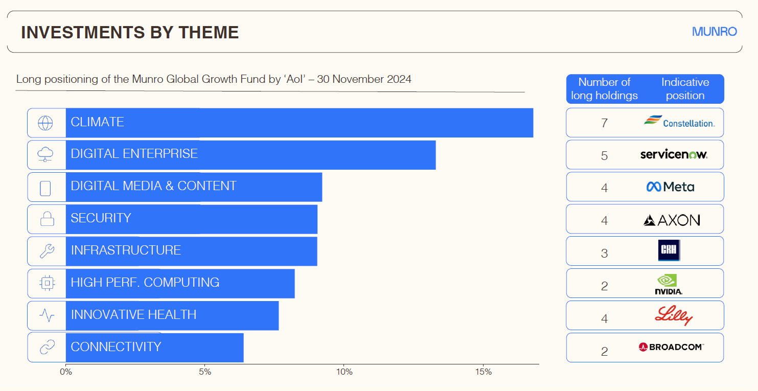 Source: Munro Partners 30 November 2024. Refer to the website for the full list of AoIs.