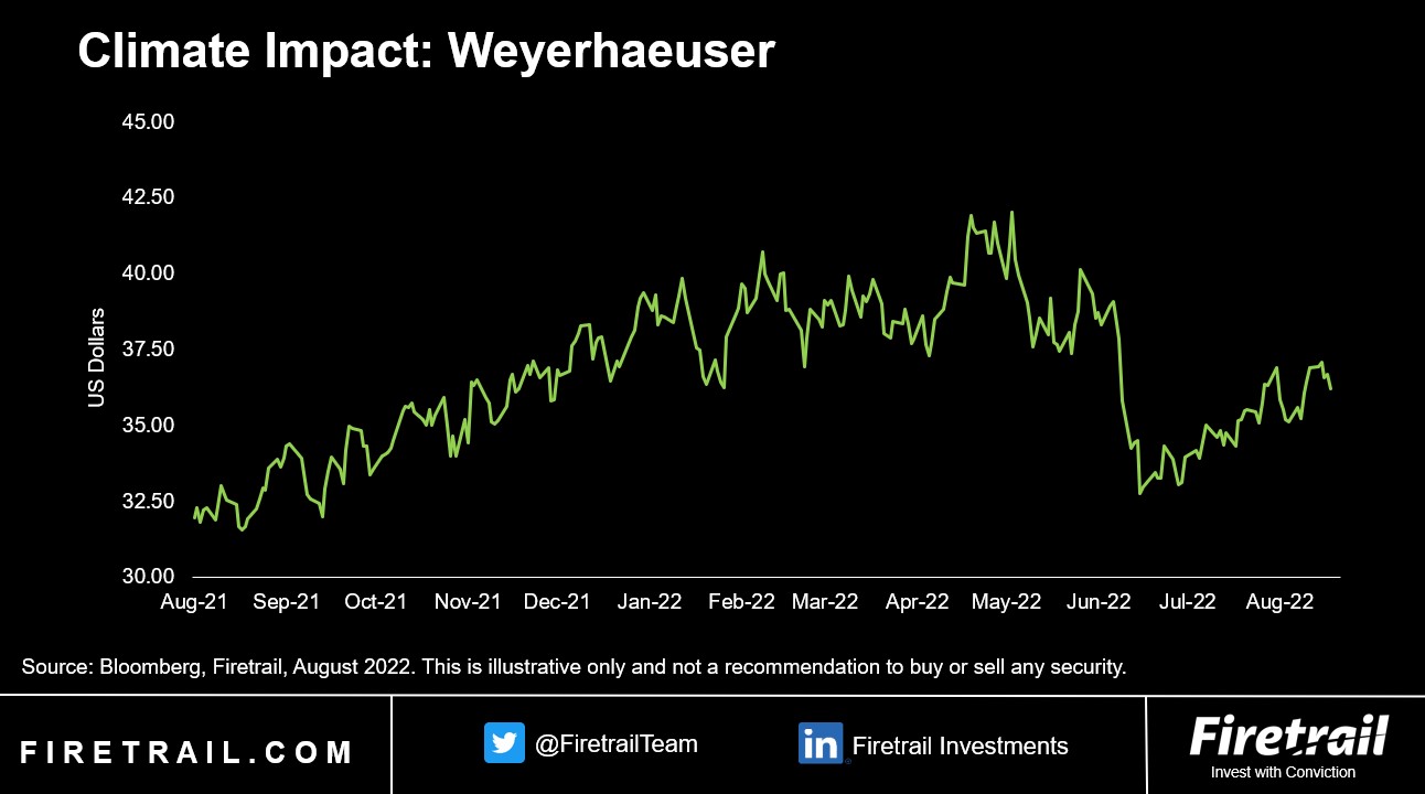 Weyerhaeuser