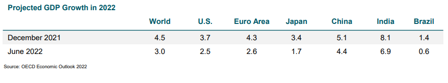 Source: OECD Economic Outlook 2022