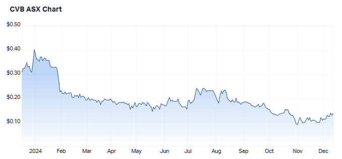 1 year performance of CurveBeam AI. Source: Market Index, 12 December 2024