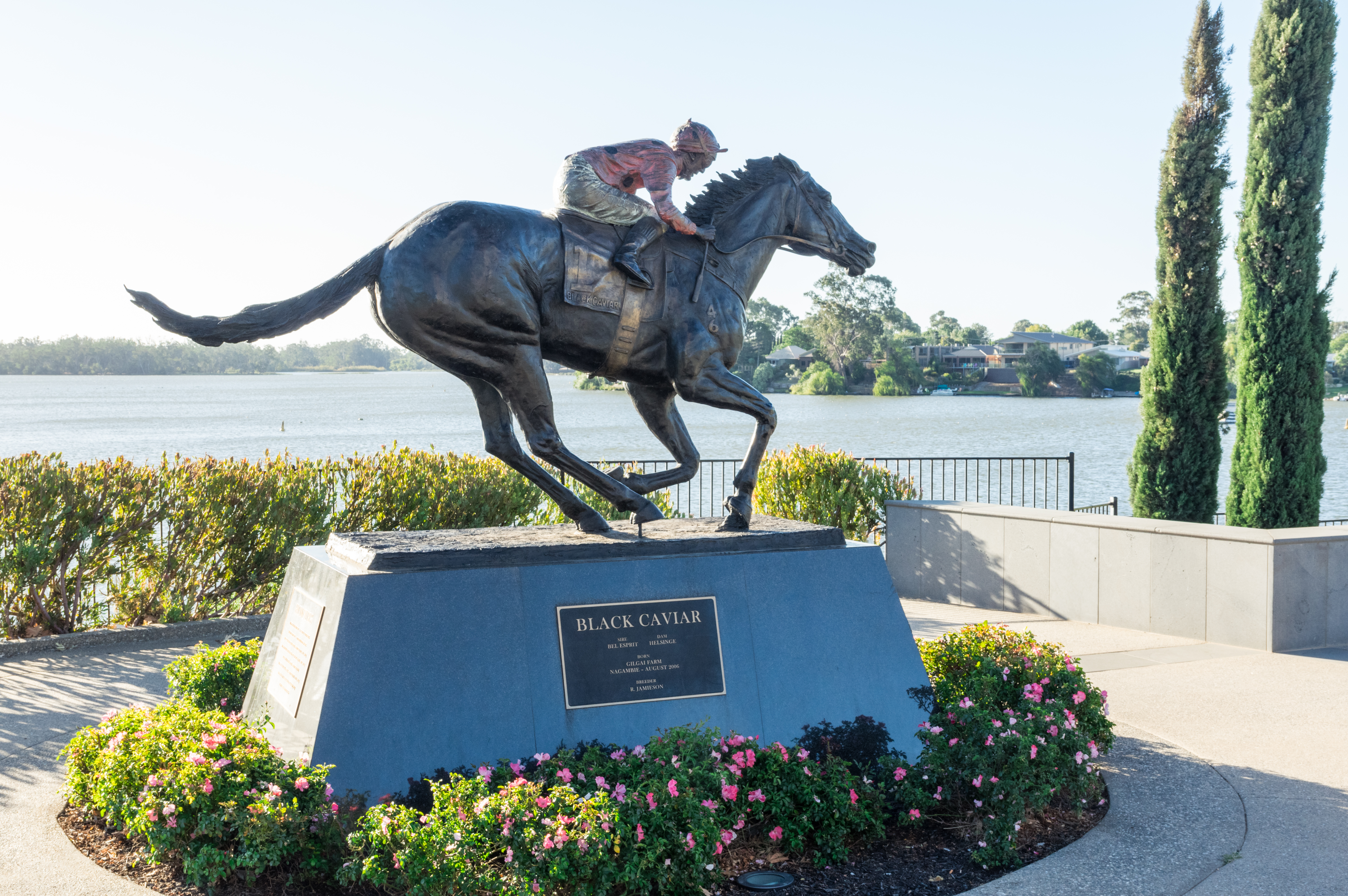 A statue of Black Caviar at Lake Nagambie, Victoria