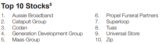 Source: Ausbil Microcap - December 2024 quarter report. The "5" denotes that the positions are in alphabetical order.