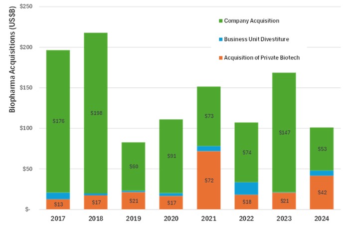 Global Biopharma acquisitions
2017 - 2024 (Acquisitions > $50m). Source: BiomedTracker, HBB analysis