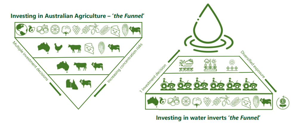 The inverse funnel is an idea where one investment can attract a whole range of possibilities. (Source: Riparian Capital Partners)