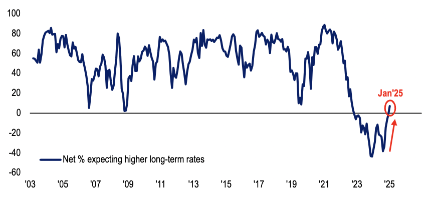 Source: BofA Global Fund Manager Survey, January 2025