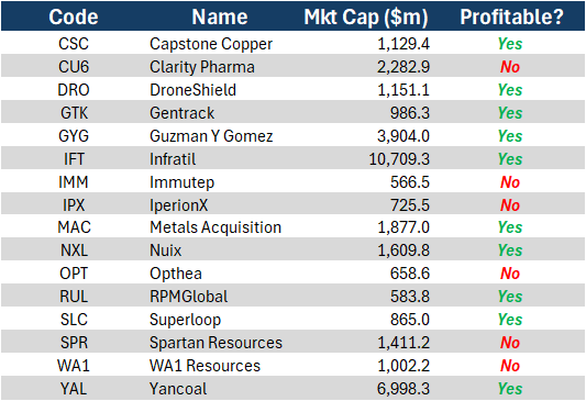 Table: 16 stocks that have been added to the S&P/ASX300 (Source: QVG Capital)