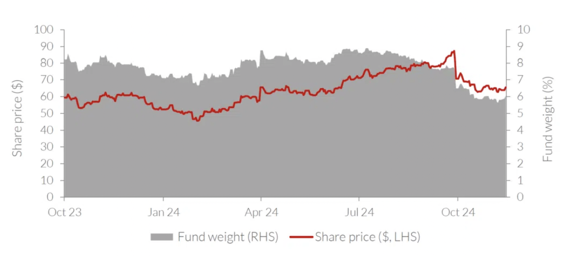 Source: Allan Gray Australia, 10 December 2024. The Allan Gray Australia Equity Fund portfolio is generally representative of the Allan Gray Australia Equity strategy portfolio, which includes institutional mandates that use the same strategy.